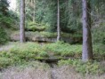 /album/fotogalerie-protrzena-prehrada/pro6-jpg/